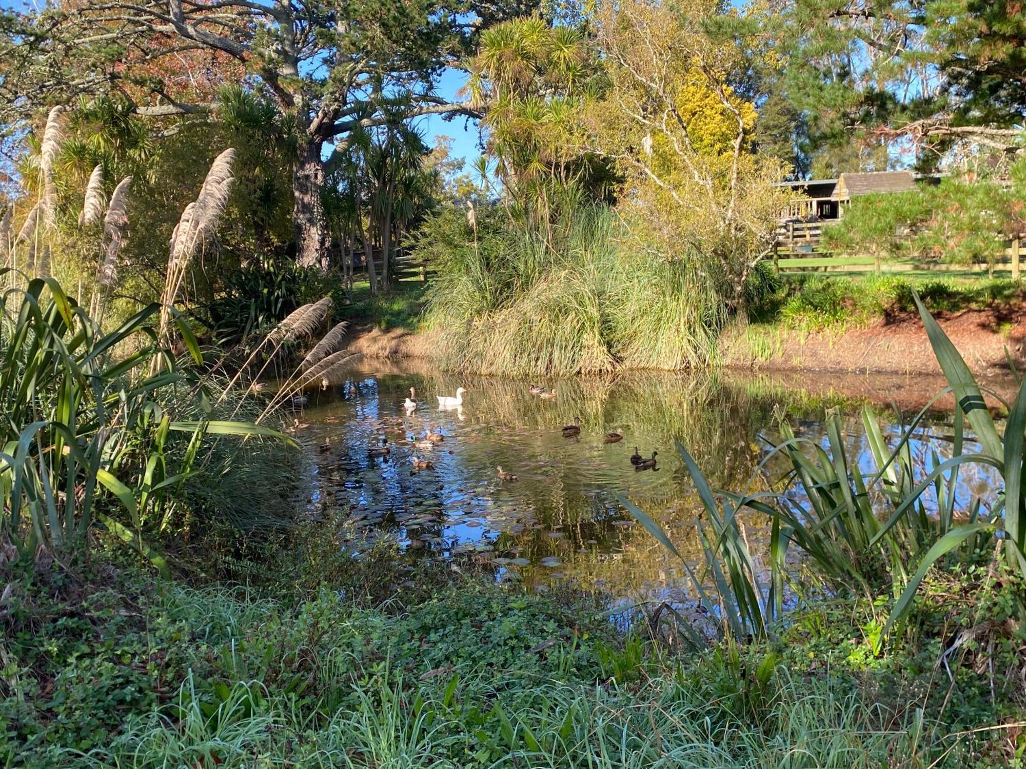 Willows Reach Lodge Kumeu Extérieur photo